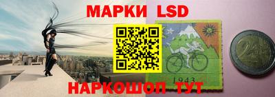 индика Краснознаменск