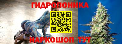 индика Краснознаменск