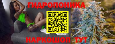 индика Краснознаменск