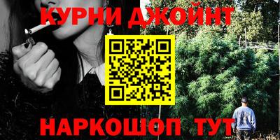 индика Краснознаменск