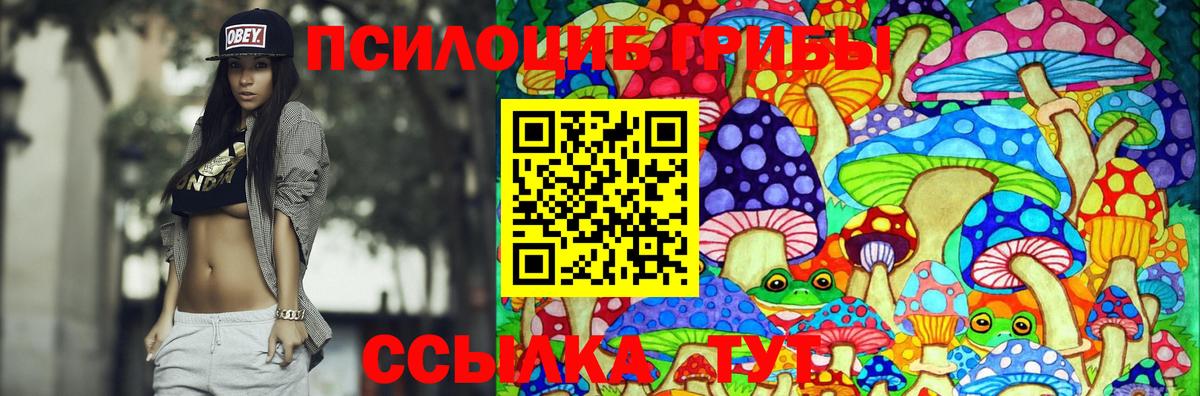 Галлюциногенные грибы Psilocybine cubensis Россия
