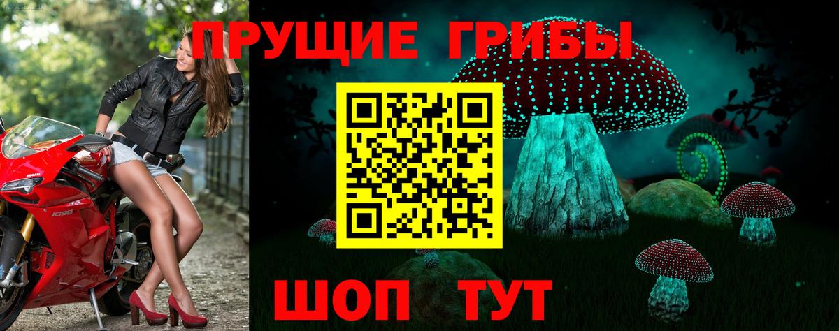 Галлюциногенные грибы ЛСД  что такое наркотик  Вход с VPN  Россия  Псилоцибиновые грибы мицелий 